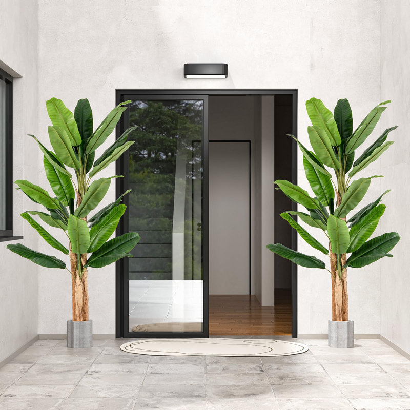 195cm Plant