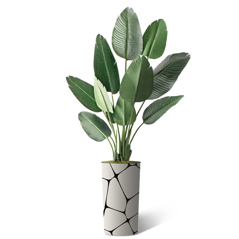 67" Tall Silk Bird of Paradise in Geometric Planter