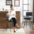 Set Of 2 Leather Swivel Bar Stools With  Comfortable Upholstered For Kitchen Island Dining Area In Black-876486594