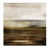 Plexi
