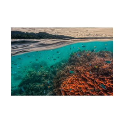 Art mural sur toile tendue - Pavol Stranak «Uri Marine Reserve» pour décoration de salon, de chambre à coucher ou de bureau - 30 x 47