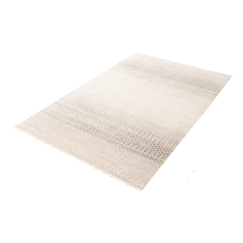 Tapis gris ombre en soie 6 pi 3 po x 9 pi 0 po