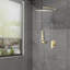 Système de douche mural