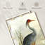 Grey Heron, reproduction sur toile-1914774240