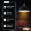 1 - Light Dome Pendant-735469972