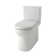 Toilette allongée deux pièces ErgoHeight de 1,28 gallon par pouce carré (siège inclus) Wicker Park