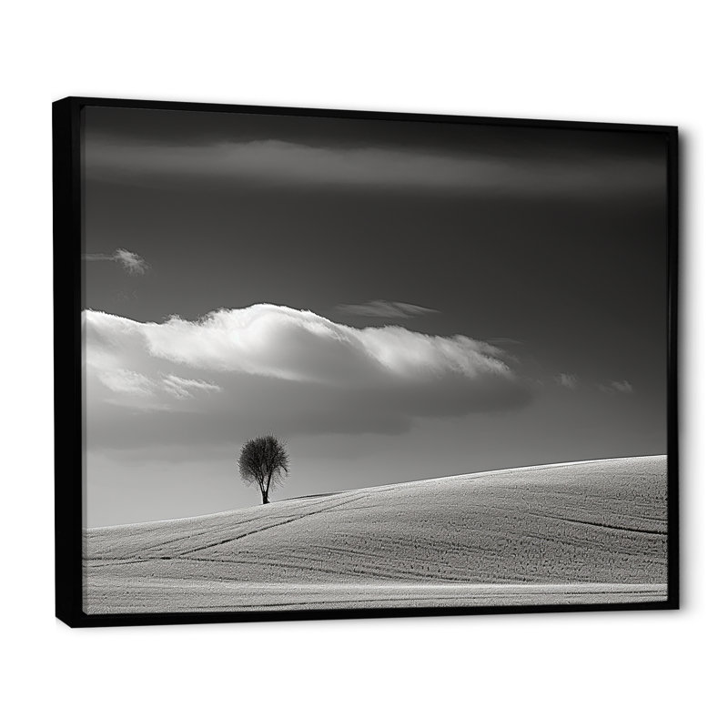 Paysage d'hiver photo III sur toile, H 12 po x l 20 po x P 1 po, Cadre flottant noir