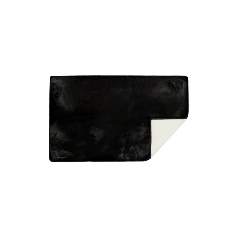 Pendergrass Black Area Rug, Rectangle 3' x 5'