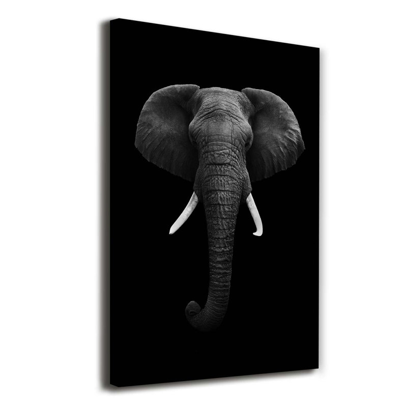 African Elephant - Wrapped Canvas Print