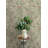 Tea Olive Green Finch Frolic Wallpaper-594483703
