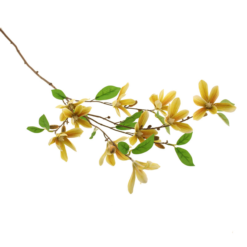 Magnolia Arrangement, Yellow