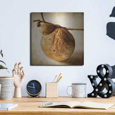 " Oak Pods 3 " by Jessica Rogers