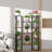 Calea Plant Stand 4 Tier