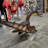 Baby Cearadactylus Bird Dinosaur Statue