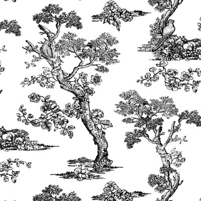 Scm Toile Noir Linen Sample