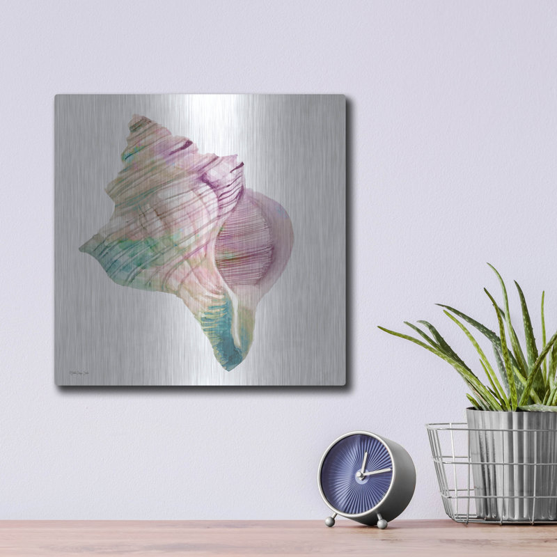 «Conch Shell» par Stellar Design Studio, H 12 po x l 12 po