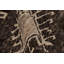 One-of-a-Kind 2'10" X 8'8" Hand Knotted Area Rug