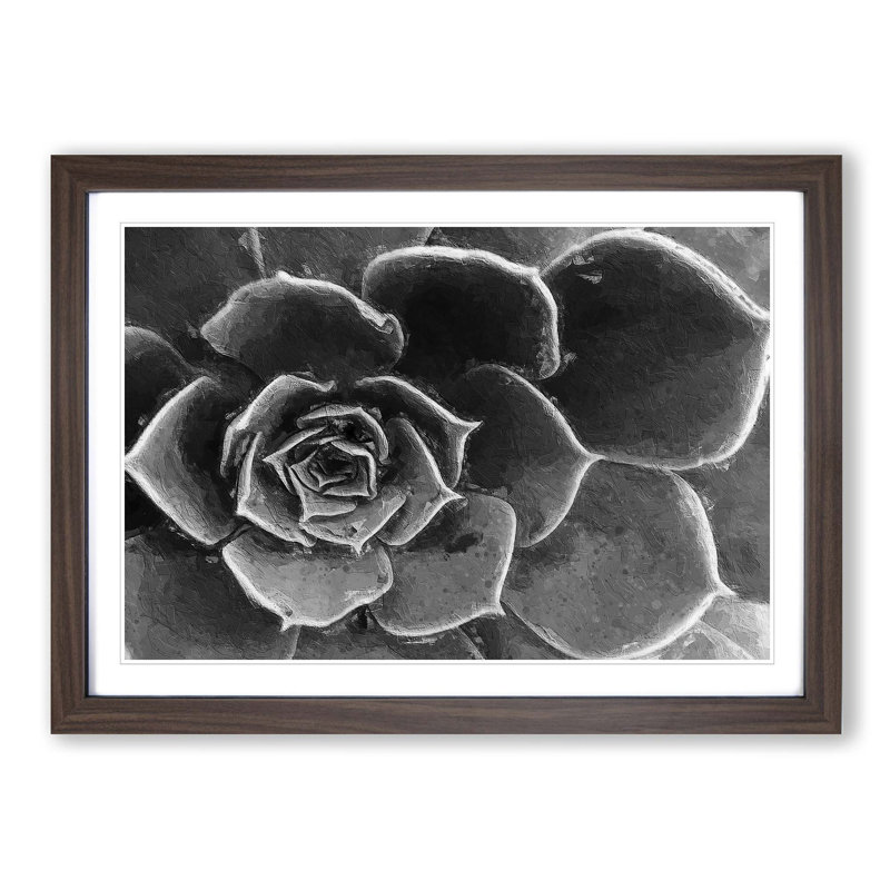 Succulent Plant - Picture Frame Painting Print, Walnut Framed, 27cm H x 36cm W x 2cm D