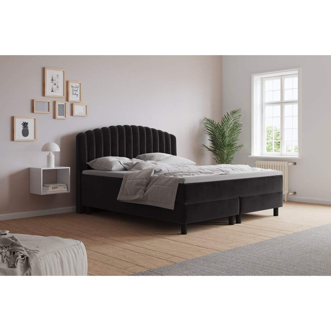 Boxspringbett Adinath mit Kaltschaum Topper, mit Samtstoff bezogen