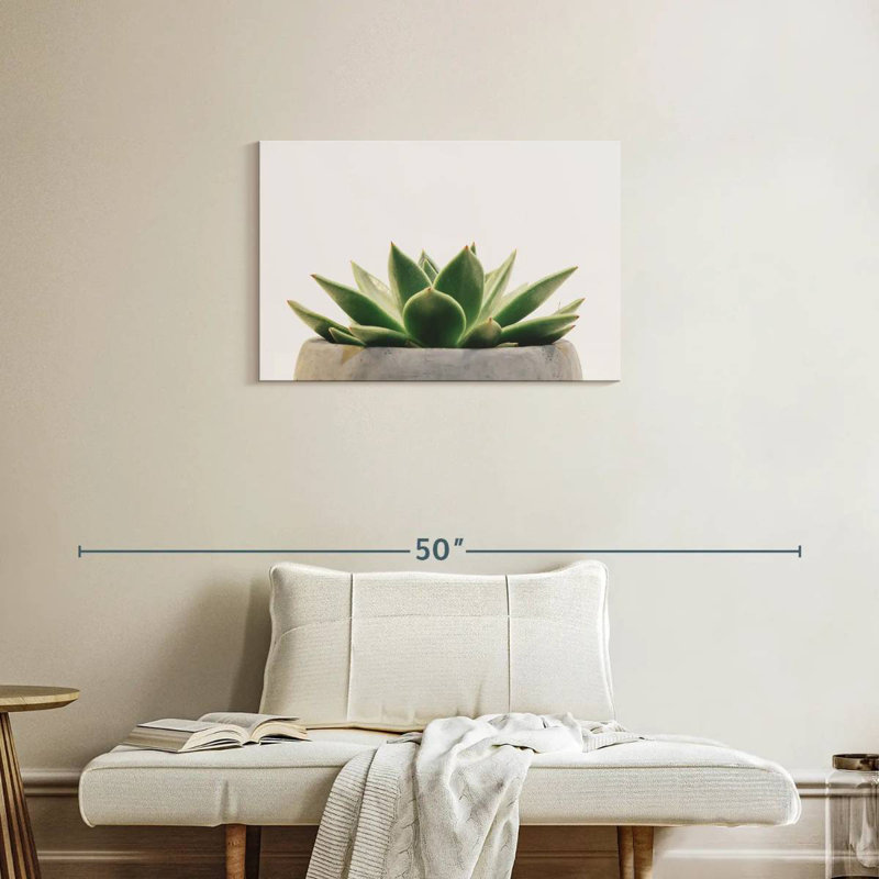 Harnek Stone Pot Succulent, 20" H x 30" W