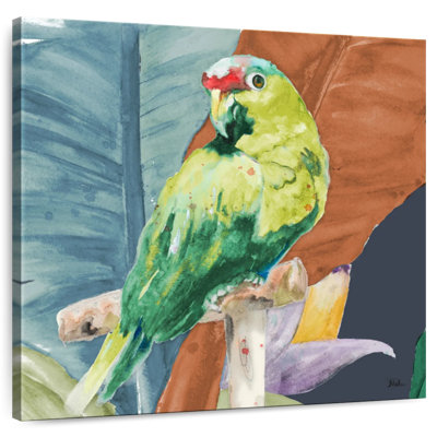 Brampt A Tropical Parrot