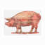 Toile d'extérieur Arrison RetroPlanet «Pig Cut Out»-87945948