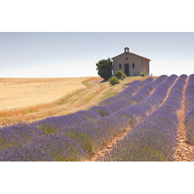 Lavender Field - Wrapped Canvas Print