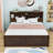King Platform Bed with USB-Equipped Storage Headboard and 2 Drawers-1087404186