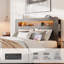Structure de lit double, structure de lit plateforme en bois avec tête de lit à DEL avec rangement et 2 ports USB, sans bruit-1372890828