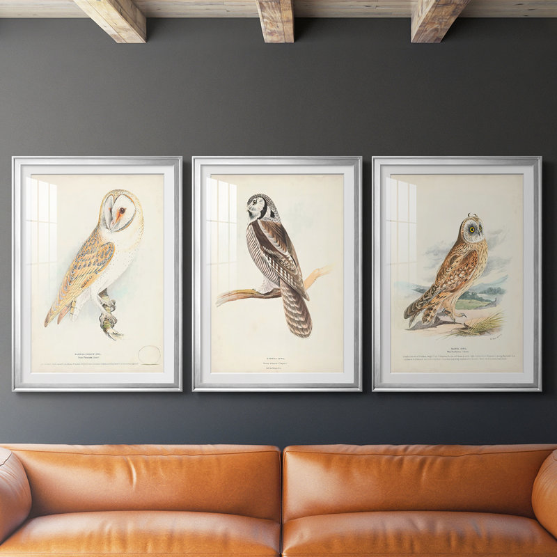 Chouette effraie - impression encadrée sur mesure de qualité supérieure - 3 pièces, H 21 po x l 30 po