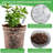 Transparent Plant Seedling Pot-354572557