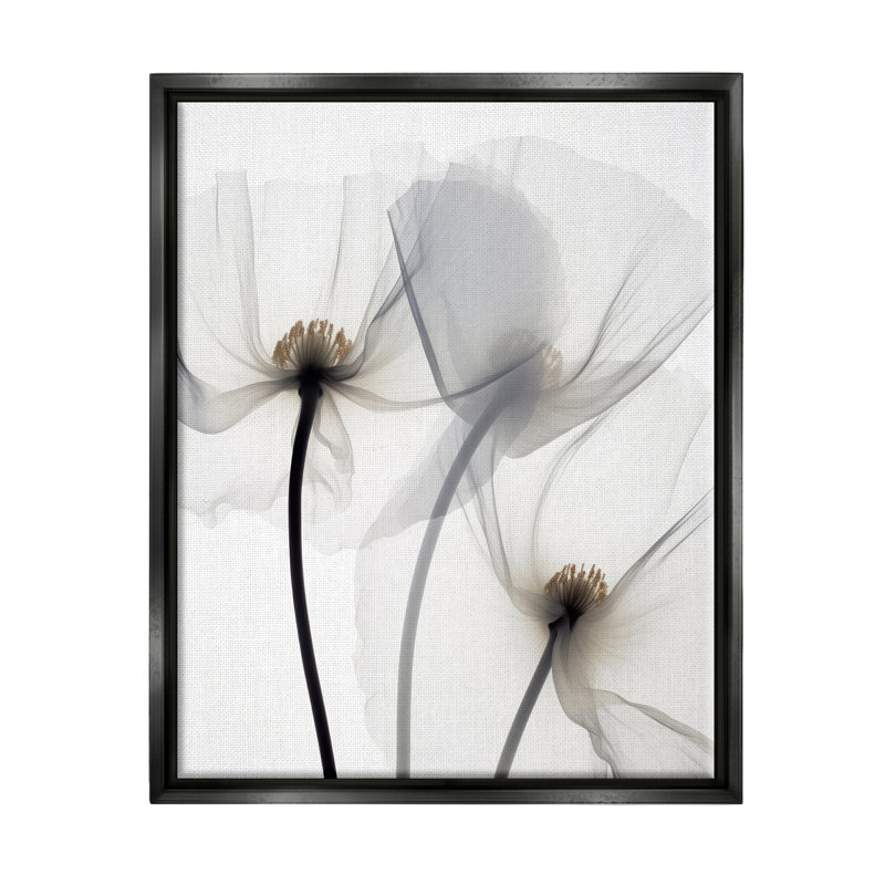 Coquelicots blancs modernes sur toile, Cadre flottant noir de jais, H 31 po x l 25 po x P 1,7 po