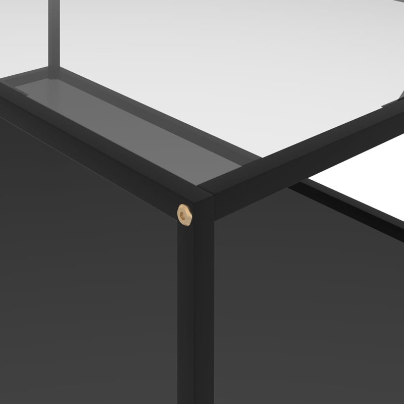 Frame Single Coffee Table with Storage, Transparent, Black, 13.8" H x 47.2" L x 23.6" W