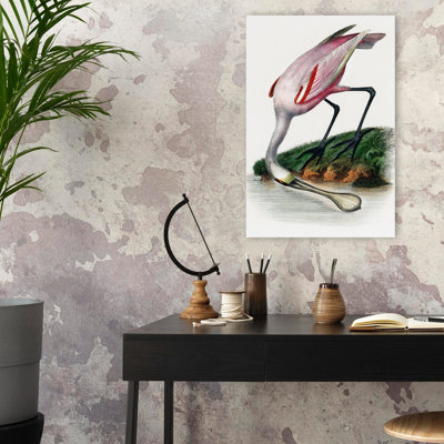 Spatule - animaux, oiseaux, art