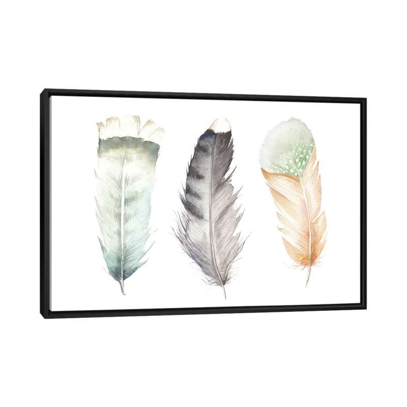 «Feathers II», reproduction sur toile, H 18 po x l 26 po x P 1,5 po, Toile avec cadre noir
