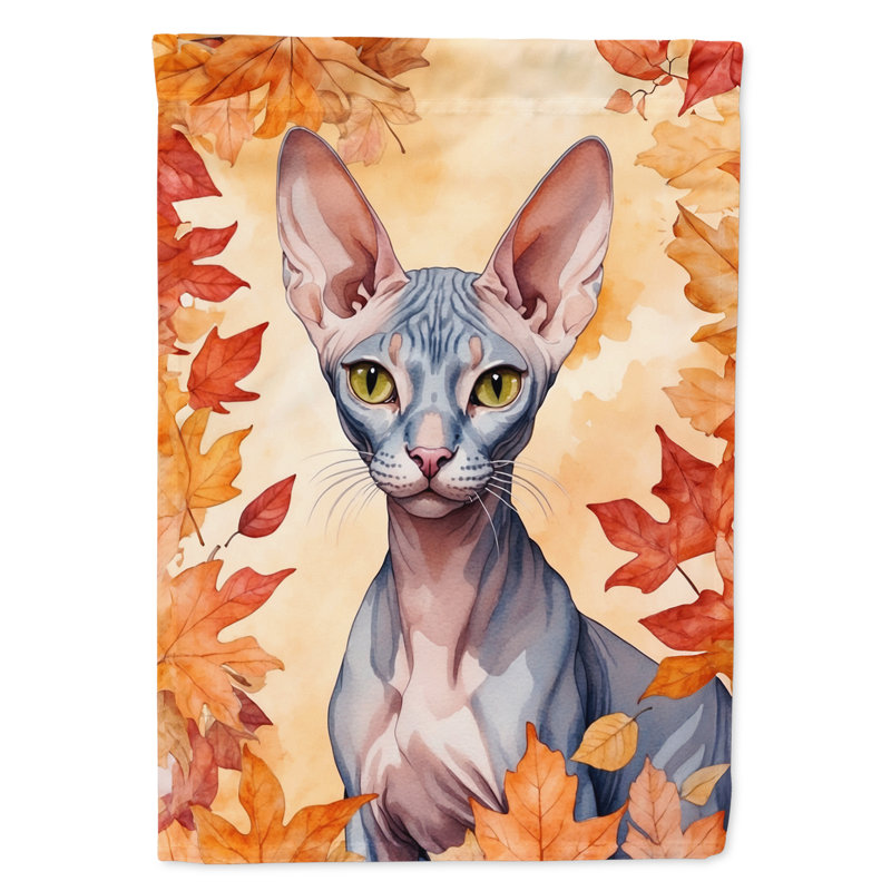 Chat en feuilles d'automne, Peterbald