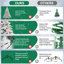 Arbre de Noël en PE / PVC-1294904953