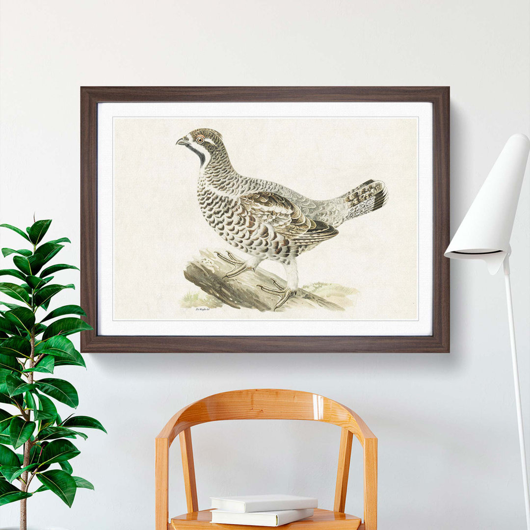 Hazel Grouse by Von Wright - Picture Frame Painting Print