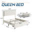 Chantaya Upholstered Storage Bed-266668319-266668315
