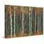 Parvez Taj - Wrapped Canvas Print-36743642