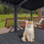 Enceinte d'extérieur pour chat avec filet anti-insectes Catio