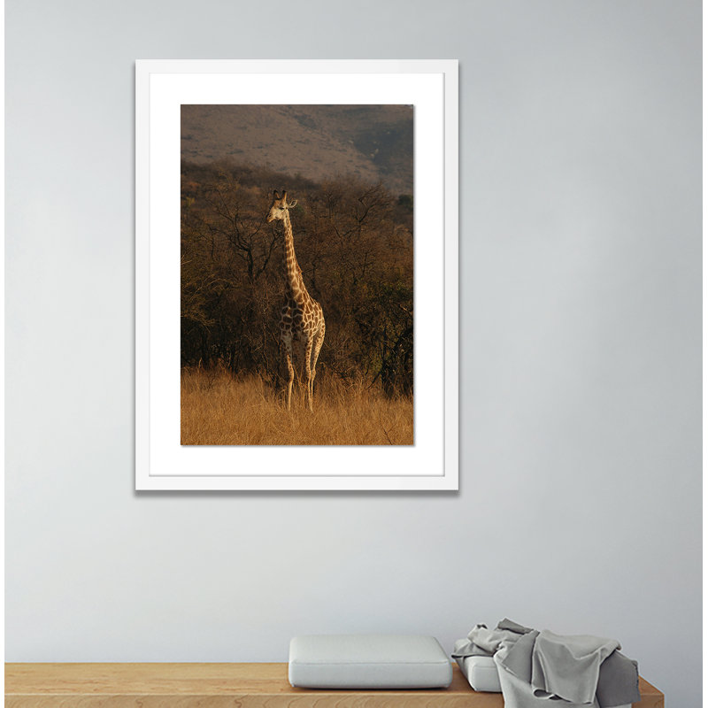 Giraffe 2 by Jade Hammer, White, 24" H x 18" W x 1.5" D