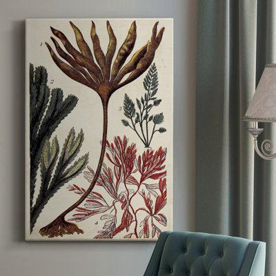 «Coral & Seaweed Montage», impression sur toile tendue