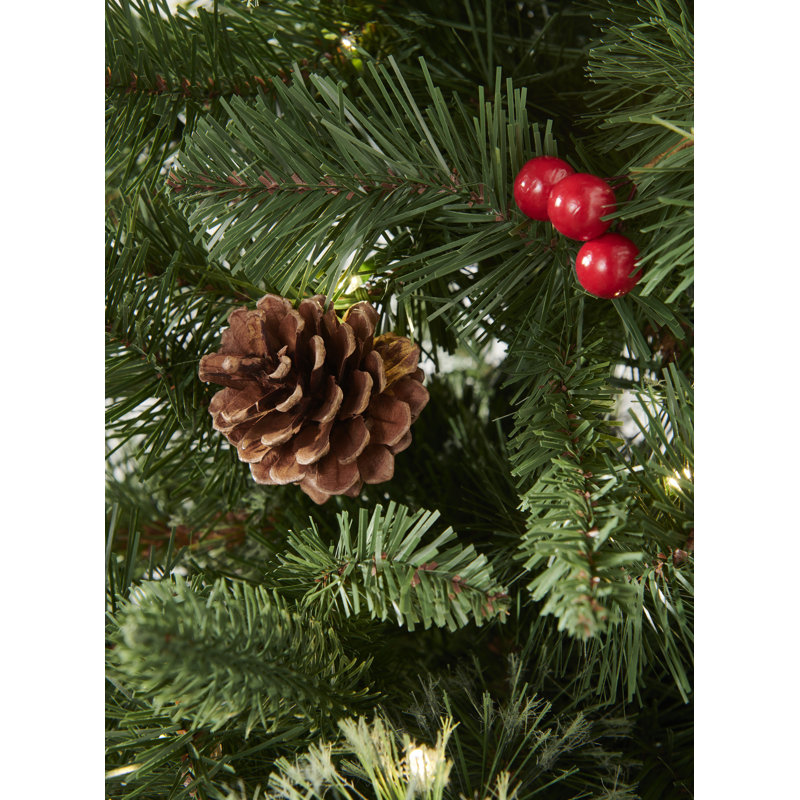 BRAZIL PINE Bristle - 4.5ft with 100 Warm White Lights