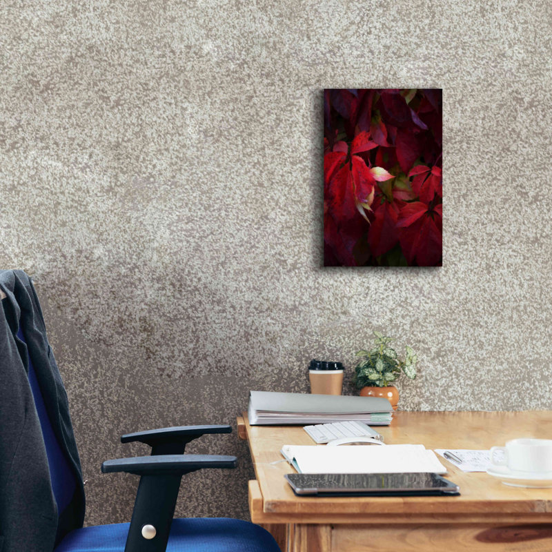 «Red Velvet» par Philippe Sainte-Laudy, art mural sur toile, H 18 po x l 12 po x P 0,75 po