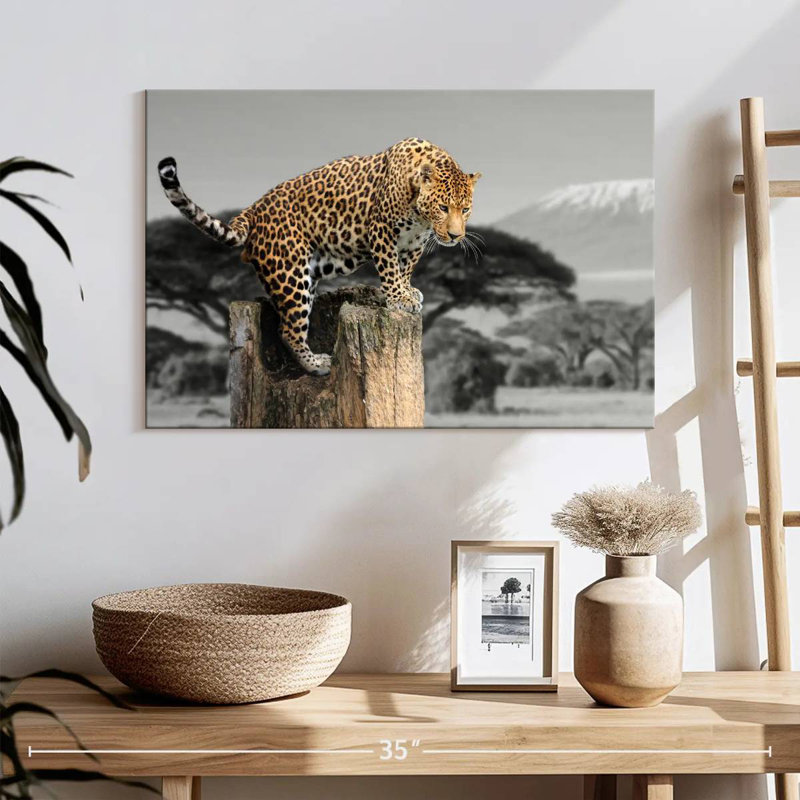 Crowle Pop africain léopard, H 16 po x l 24 po
