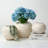 Approx. Off White Ceramic Round Pot (Opening)-285170336