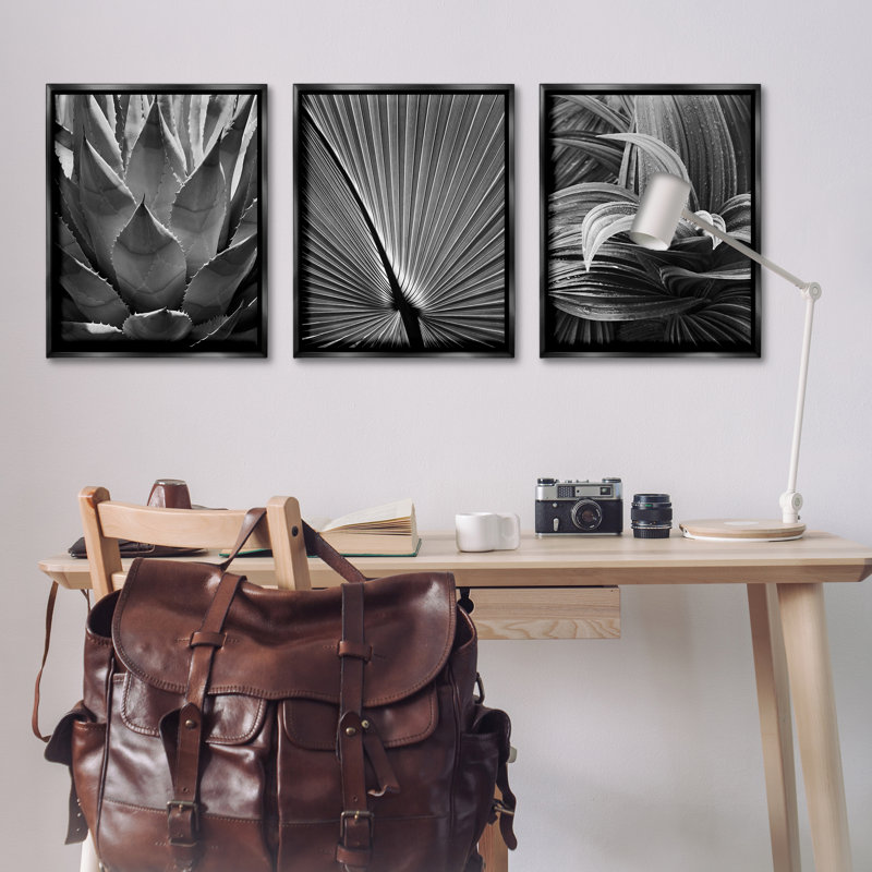  Ensemble de 3 toiles flottantes encadrées Palm Frond par Chip Forelli, H 31 po x l 25 po, Cadre flottant noir de jais