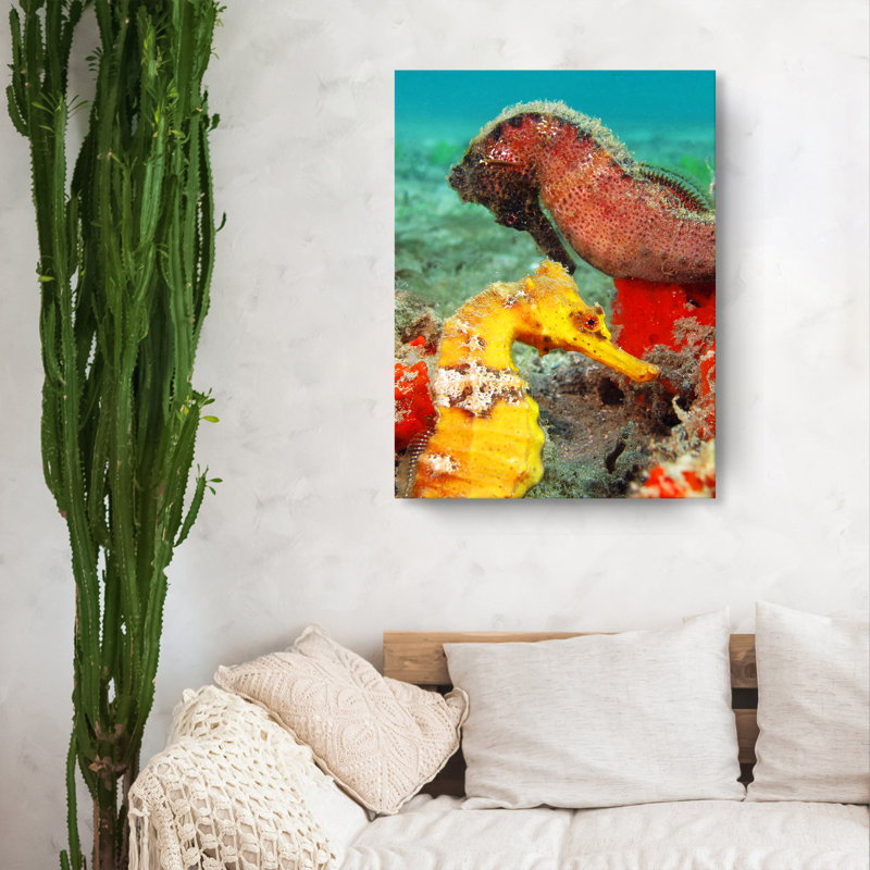 " Seahorse " by Christopher Doherty