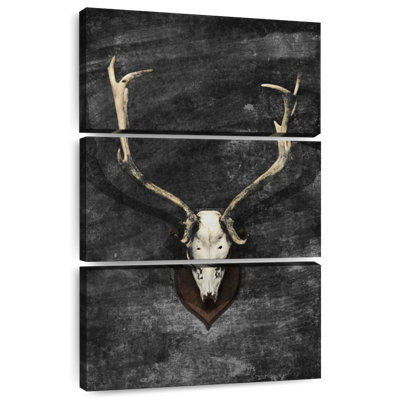 Kerner Trophy Deer Skull
